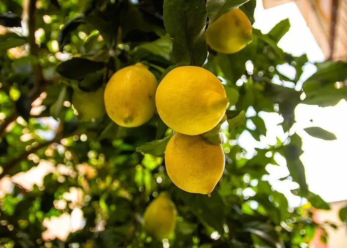 Fior Di Limone アパート *